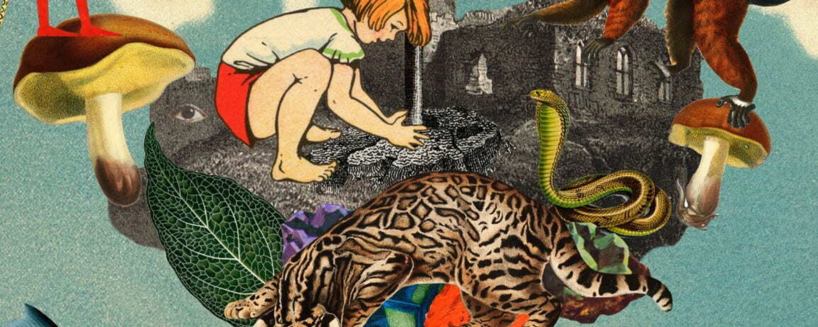 Rsz little druids for humanity 1154 462 90 s c1 c c