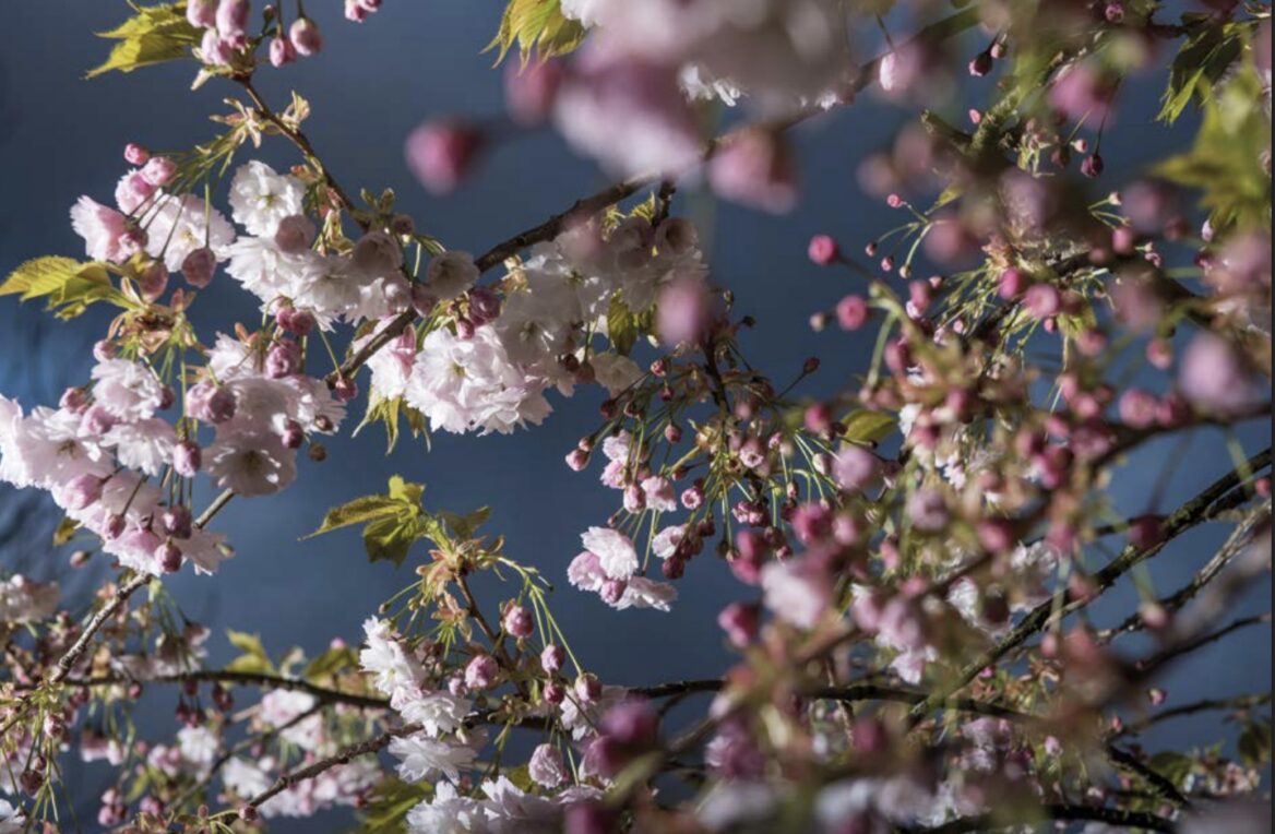 Screenshot 2025 04 14 at 22 47 15