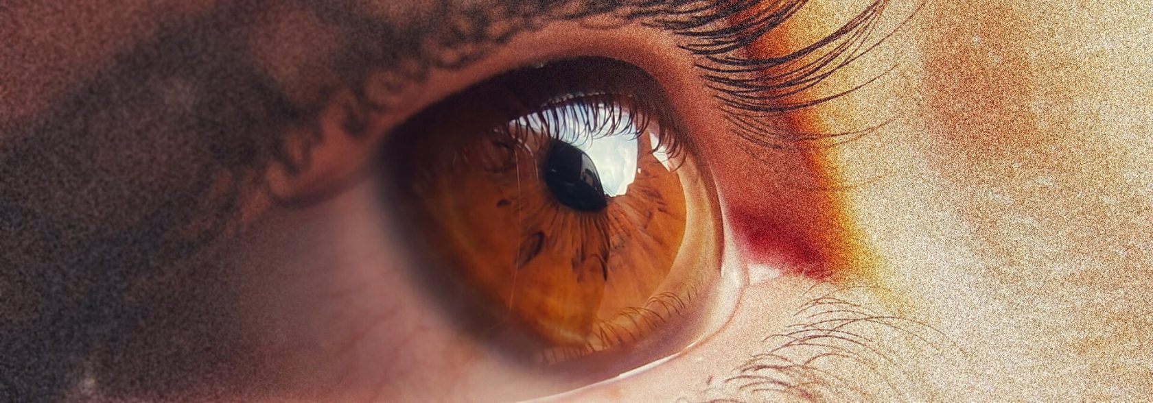 Everyman Up Front The Everyman Cork 20 21 Jun 2026