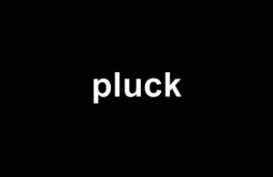 Pluck logo render CMYK