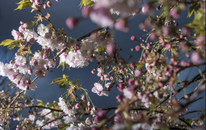 Screenshot 2025 04 14 at 22 47 15