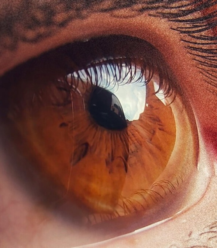 Everyman Up Front The Everyman Cork 20 21 Jun 2026