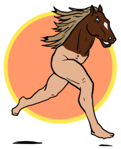 Pony Cam